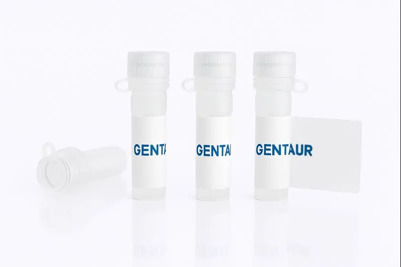 Erythropoietin, Cynomolgus (HEK293, His)