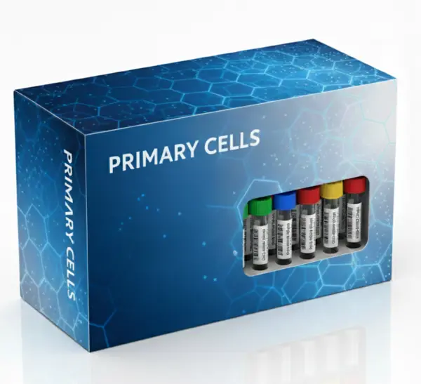 Embed Low Viscosity Epoxy Soultion B