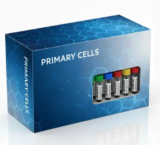[TCC-25190] Cryopreserved Urethra Epithelial Cells (HUEpC), adult
