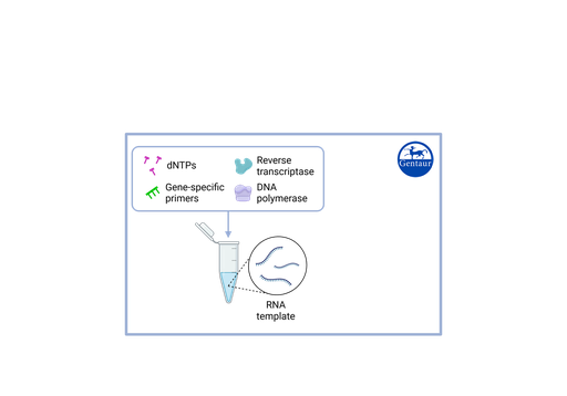 [VS-​SUK212H] RT PCR Test Kits  SARS-CoV-2