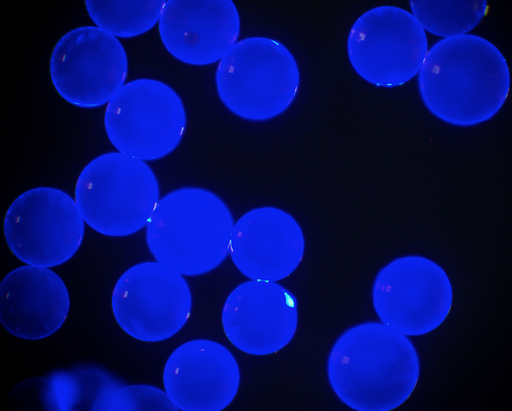 [AFB-2100-NH2] Blue PS Fluorescent Particles, 21 um-NH2